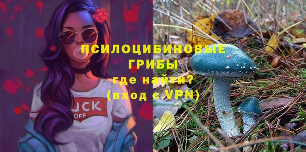 ГАЛЛЮЦИНОГЕННЫЕ ГРИБЫ Гусиноозёрск