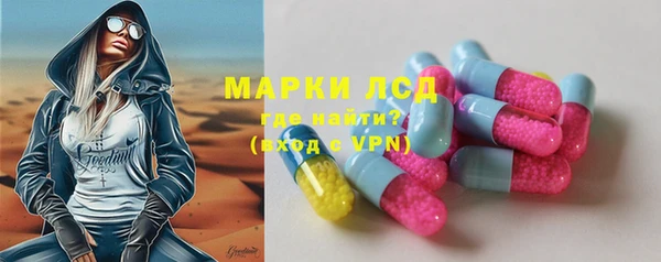 ГАЛЛЮЦИНОГЕННЫЕ ГРИБЫ Гусиноозёрск