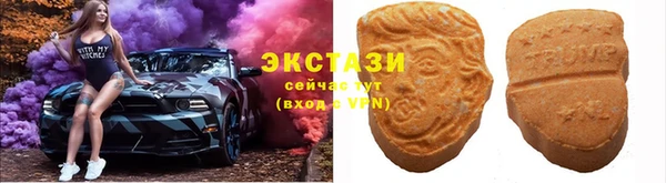 прущие грибы Гусев
