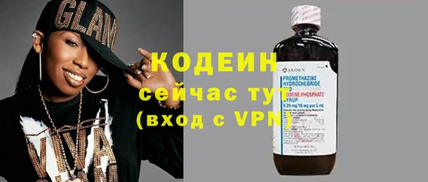 прущие грибы Гусев