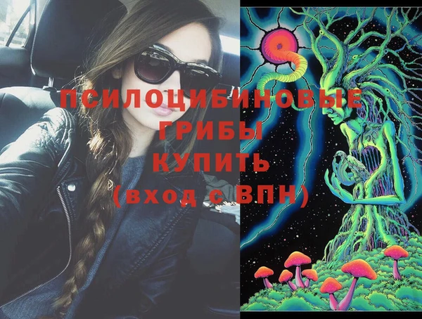 эйфоретик Дмитровск