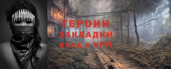прущие грибы Гусев