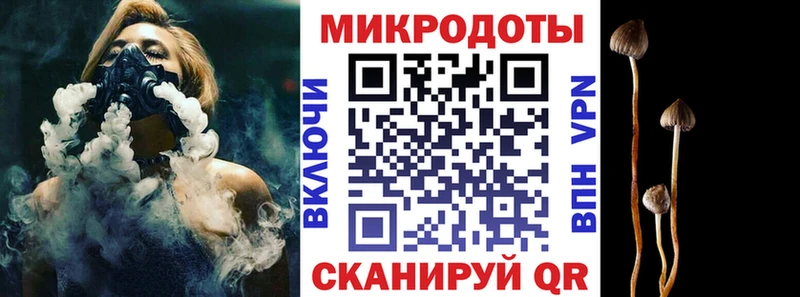 где продают наркотики  Далматово  Псилоцибиновые грибы мицелий 
